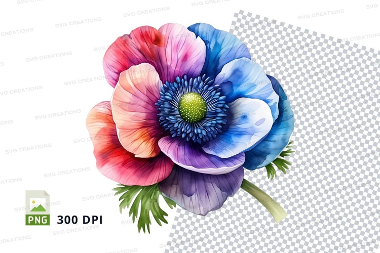 Colorful anemone flower clipart png