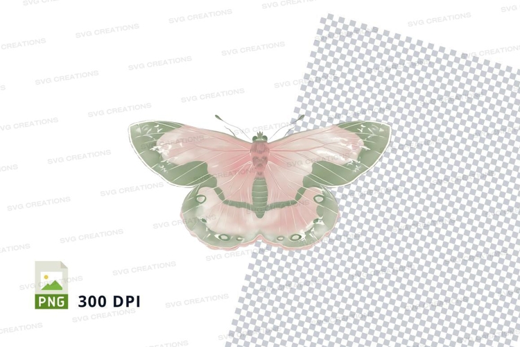 Wing Clipart Image 19
