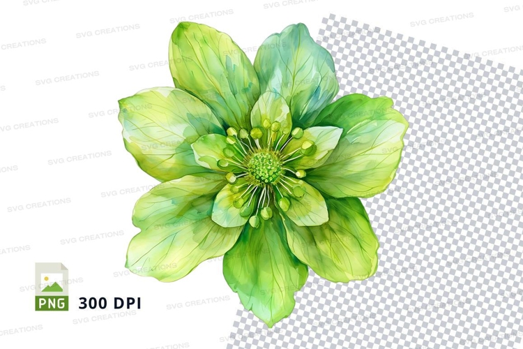 Insect Clipart Image 21