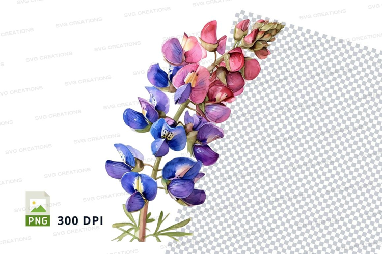 Beautiful lupine flowers