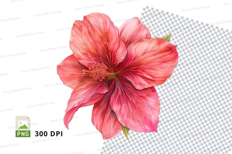 Hibiscus Flower Clipart Image 15