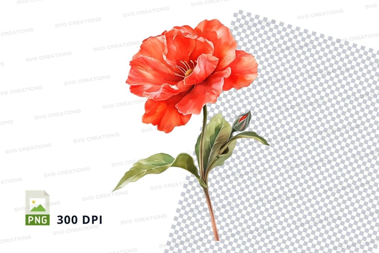 Red Rose Clipart Image 24