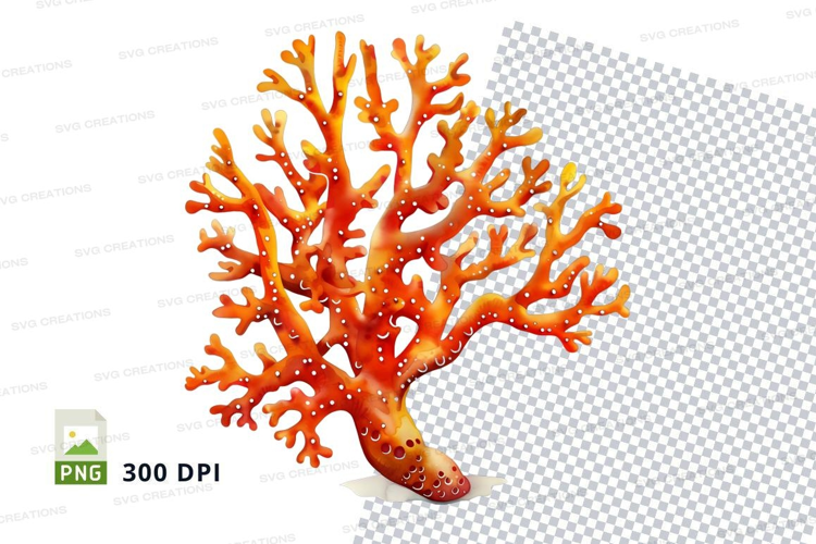 Vibrant coral reef