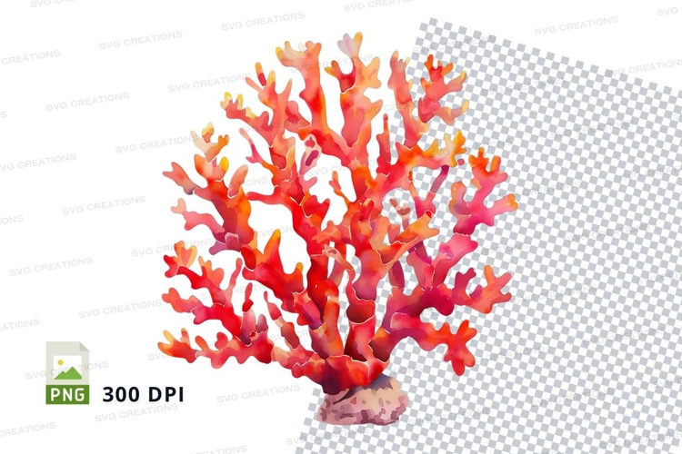Vibrant coral reef