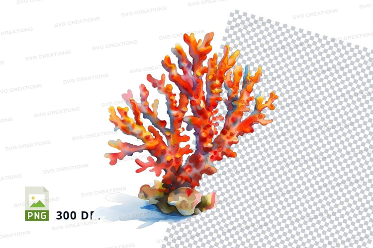 Vibrant coral reef