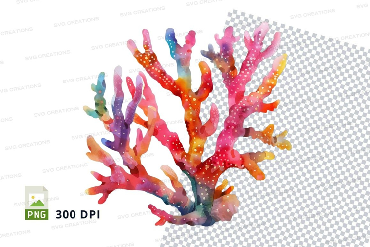 Colorful coral reef