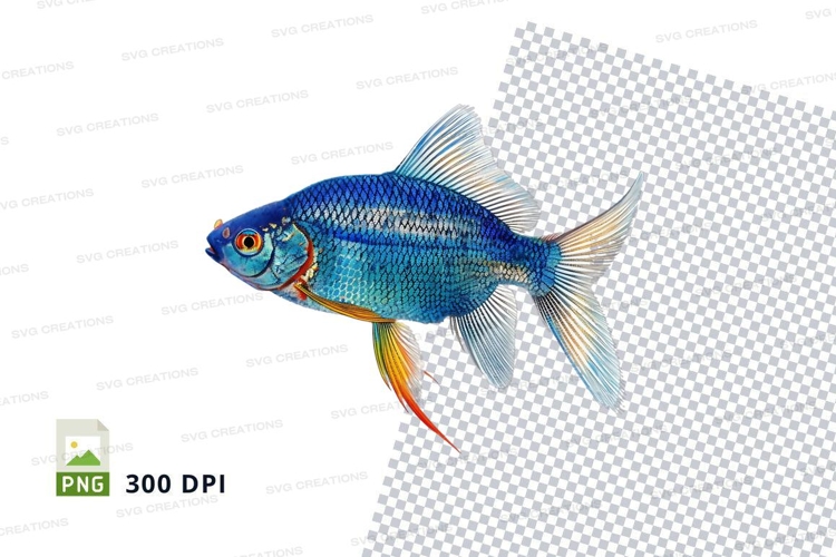 Vibrant blue betta fish