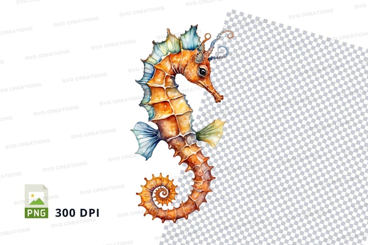 Seahorse Illustration Image 9