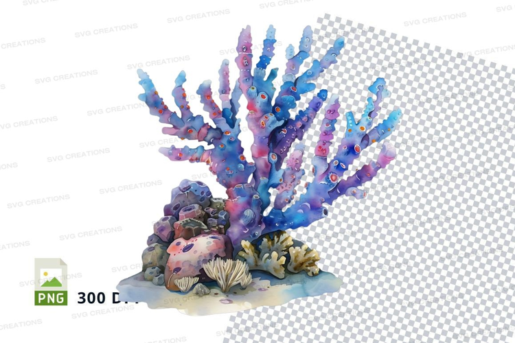 Colorful coral reef