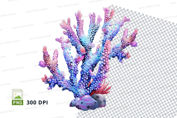Colorful coral reef