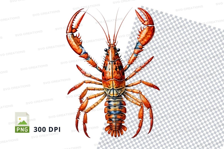 Marine Clipart Image 7