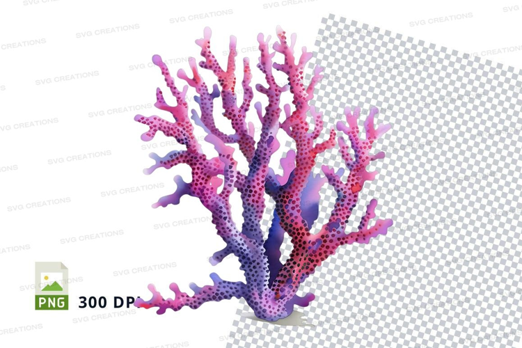 Colorful coral reef