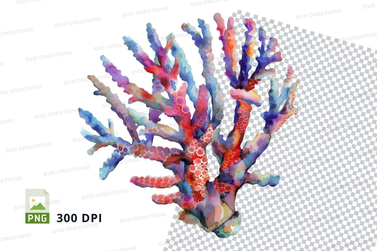 Colorful coral reef