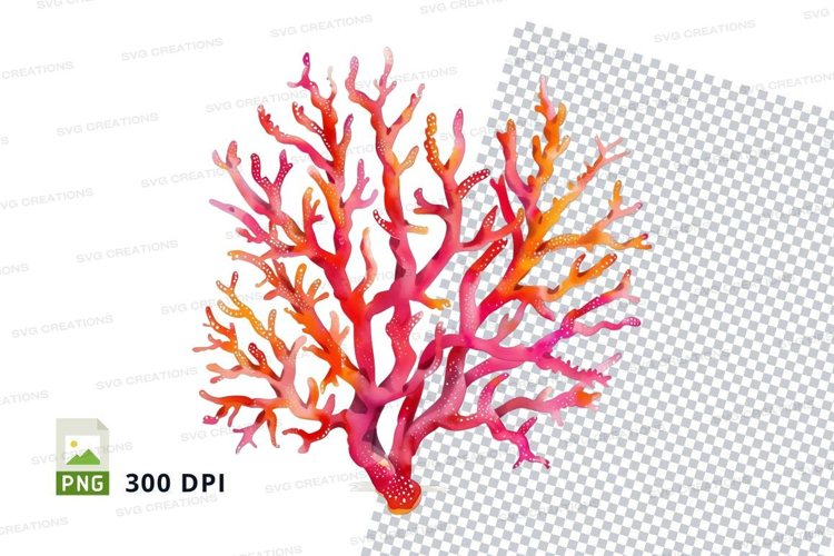 Colorful coral reef