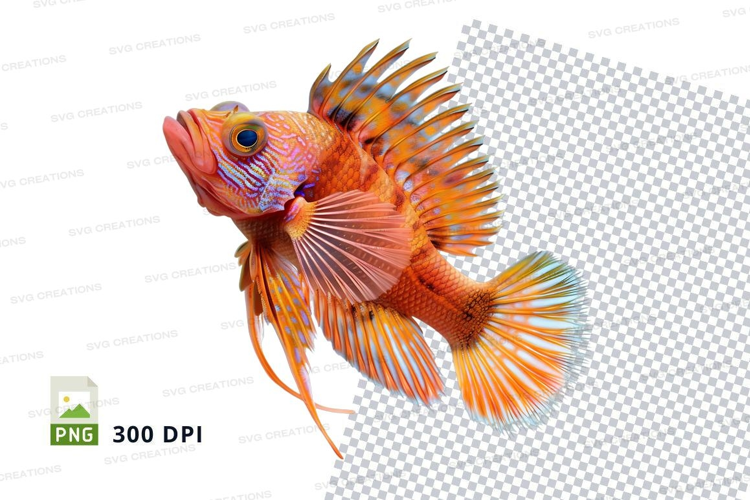 Vibrant orange fish
