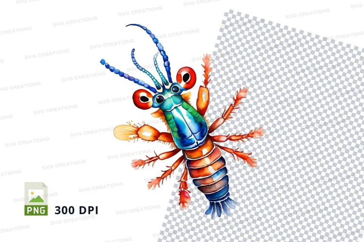 Shrimp Illustration Image 10