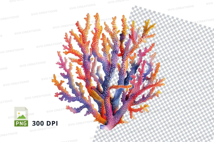 Colorful coral reef