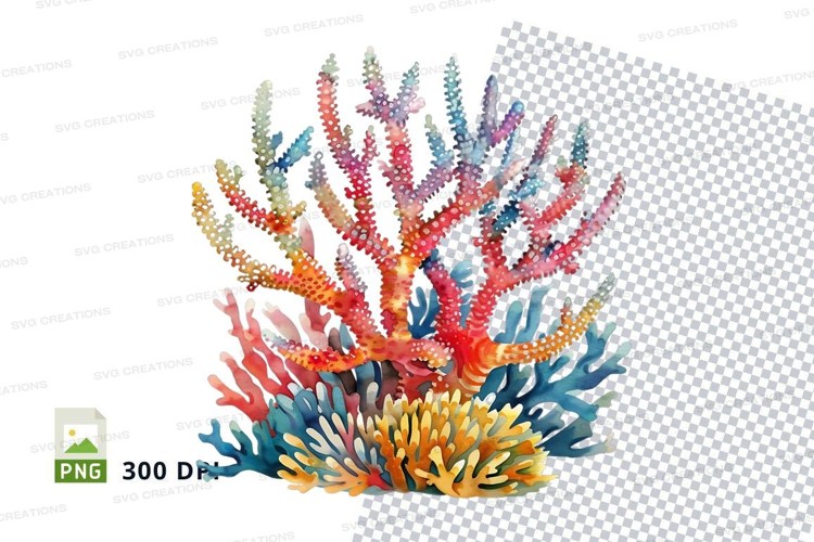 Colorful coral reef