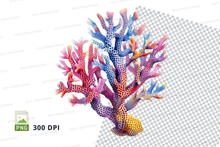Colorful coral reef