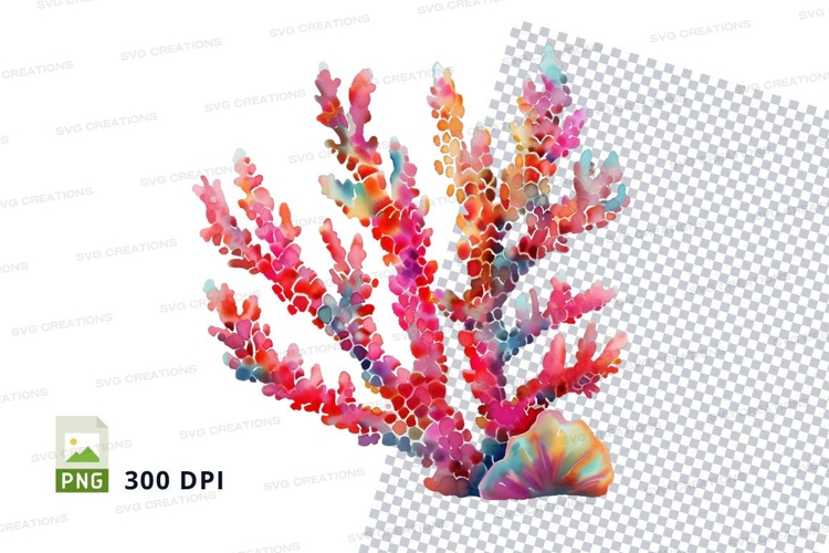 Colorful coral reef