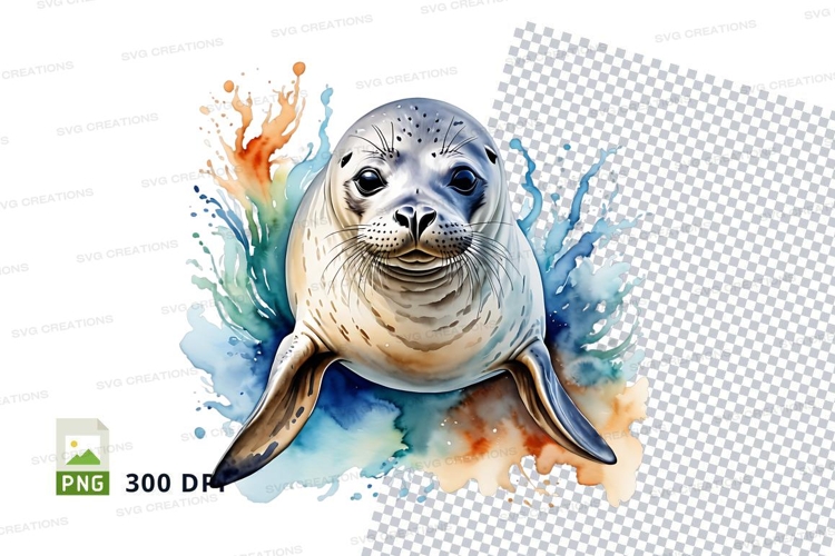 Playful seal in water