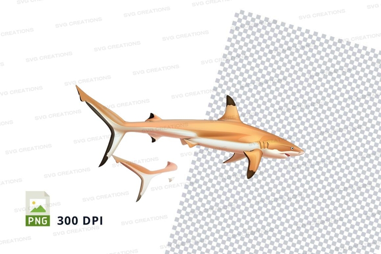 Shark Clipart Image 4