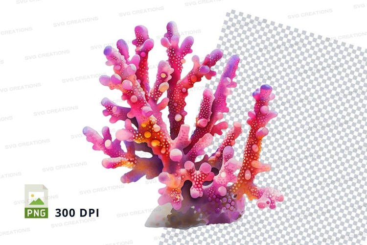 Vibrant coral reef