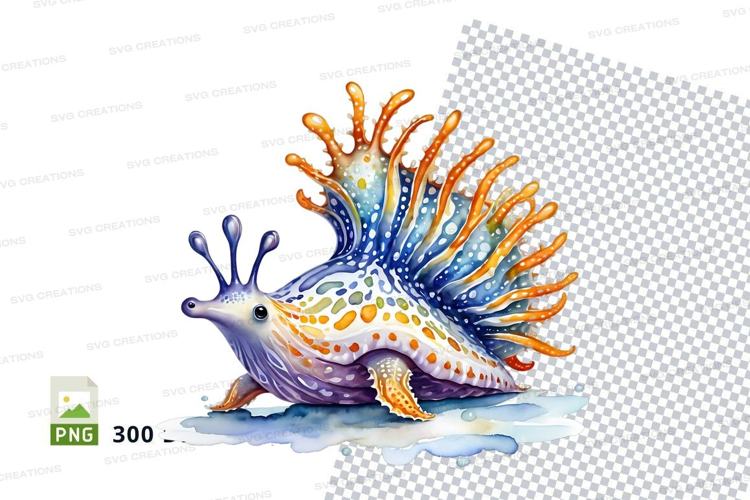 Colorful sea slug on coral