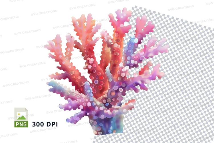 Colorful coral reef