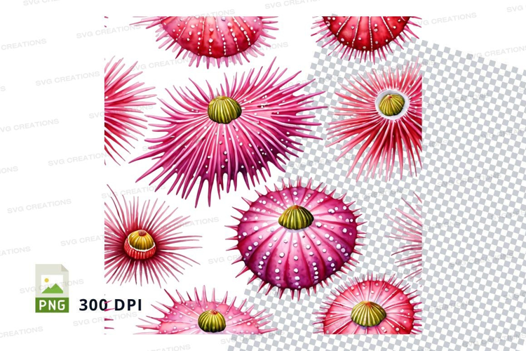 Pink sea urchins pattern