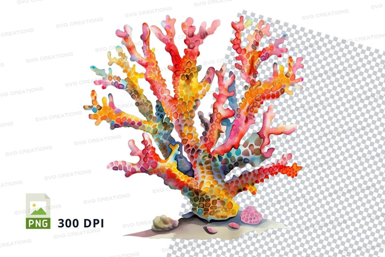 Colorful coral reef