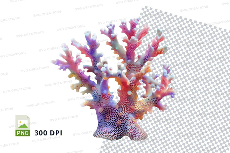 Colorful coral reef