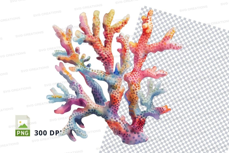 Colorful coral reef