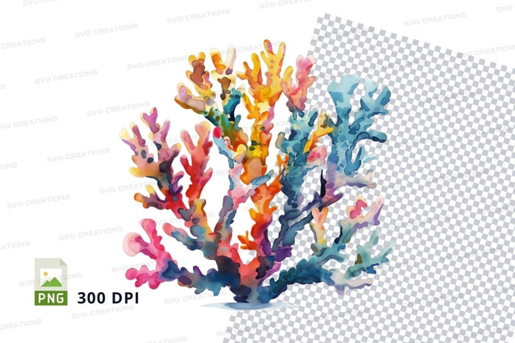 Colorful coral reef