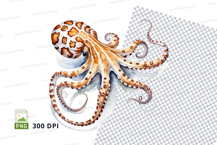 Octopus Illustration Image 21