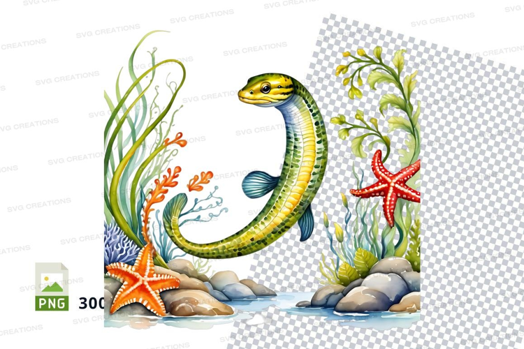 Underwater eel and coral scene