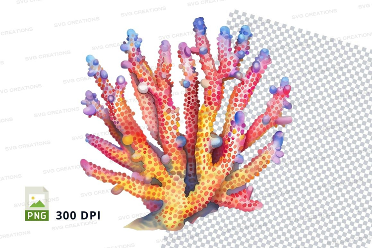 Colorful coral reef