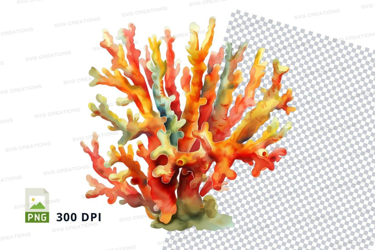 Colorful coral reef