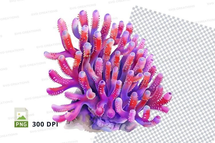 Coral Clipart Image 2