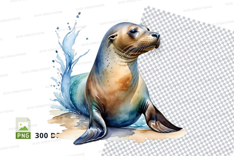 Playful seal on the beach