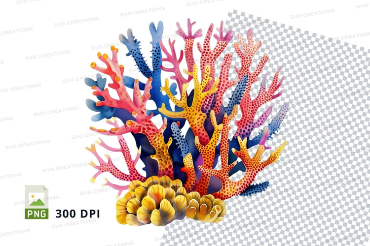 Colorful coral reef