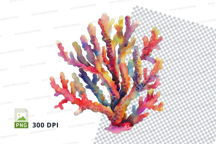 Colorful coral reef