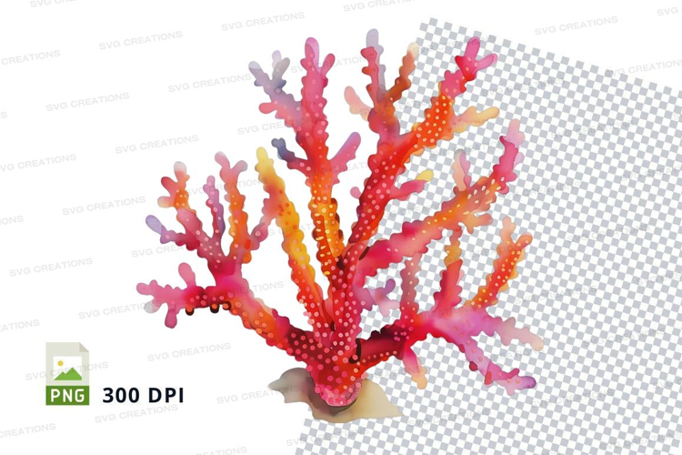 Vibrant coral reef