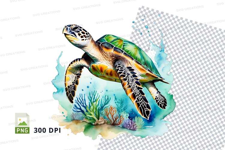 Turtle Illustration Image 4
