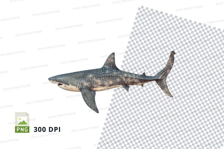 Shark Png Image 7