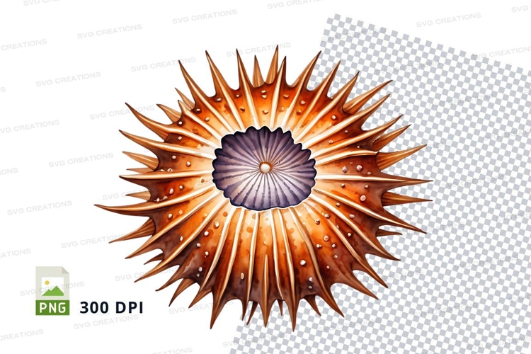 Marine Clipart Image 6