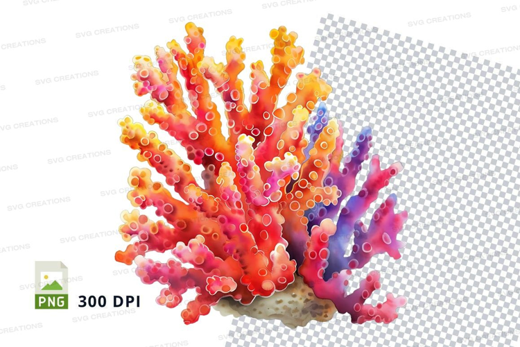 Colorful coral reef