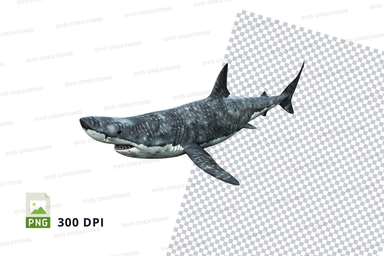 Shark Clipart Image 21
