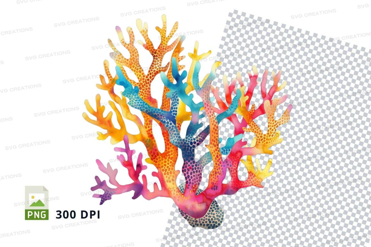 Colorful coral reef