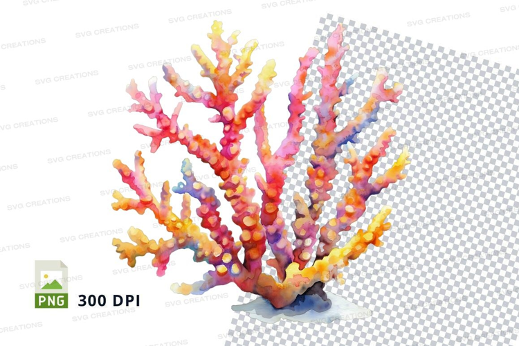Colorful coral reef